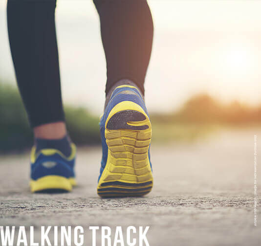 Walking Track